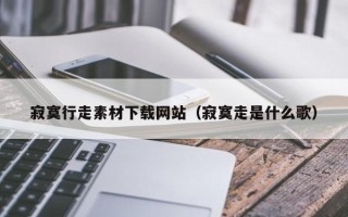 通化寂寞行走素材下载网站（寂寞走是什么歌）